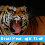 Beast Meaning in Tamil, Beast என்ற ஆங்கிலச் சொல்லின் தமிழ் அர்த்தம்