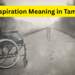 Inspiration Meaning in Tamil