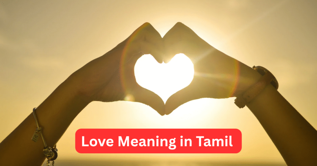 Love Meaning in Tamil, Love என்ற ஆங்கில சொல்லுக்கு இணையான தமிழ் அர்த்தம்.