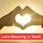 Love Meaning in Tamil, Love என்ற ஆங்கில சொல்லுக்கு இணையான தமிழ் அர்த்தம்.