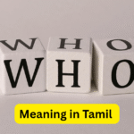 Who meaning in Tamil, Who என்பதன் தமிழ் அர்த்தம் என்ன?