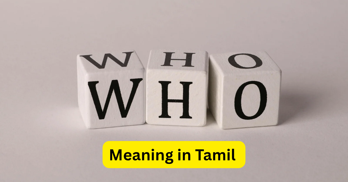 Who meaning in Tamil, Who என்பதன் தமிழ் அர்த்தம் என்ன?