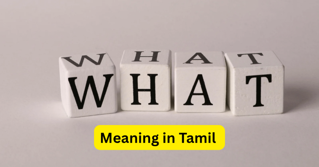 What Meaning in Tamil, What என்பதன் தமிழ் அர்த்தம் என்ன?