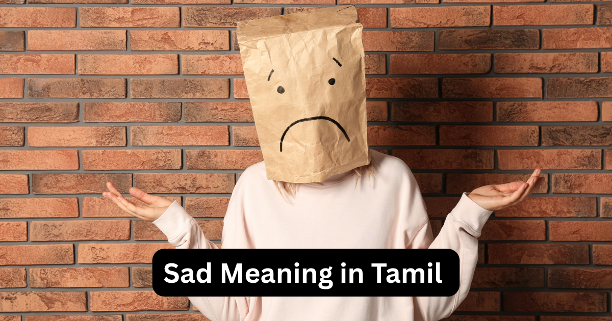 Sad Meaning in Tamil